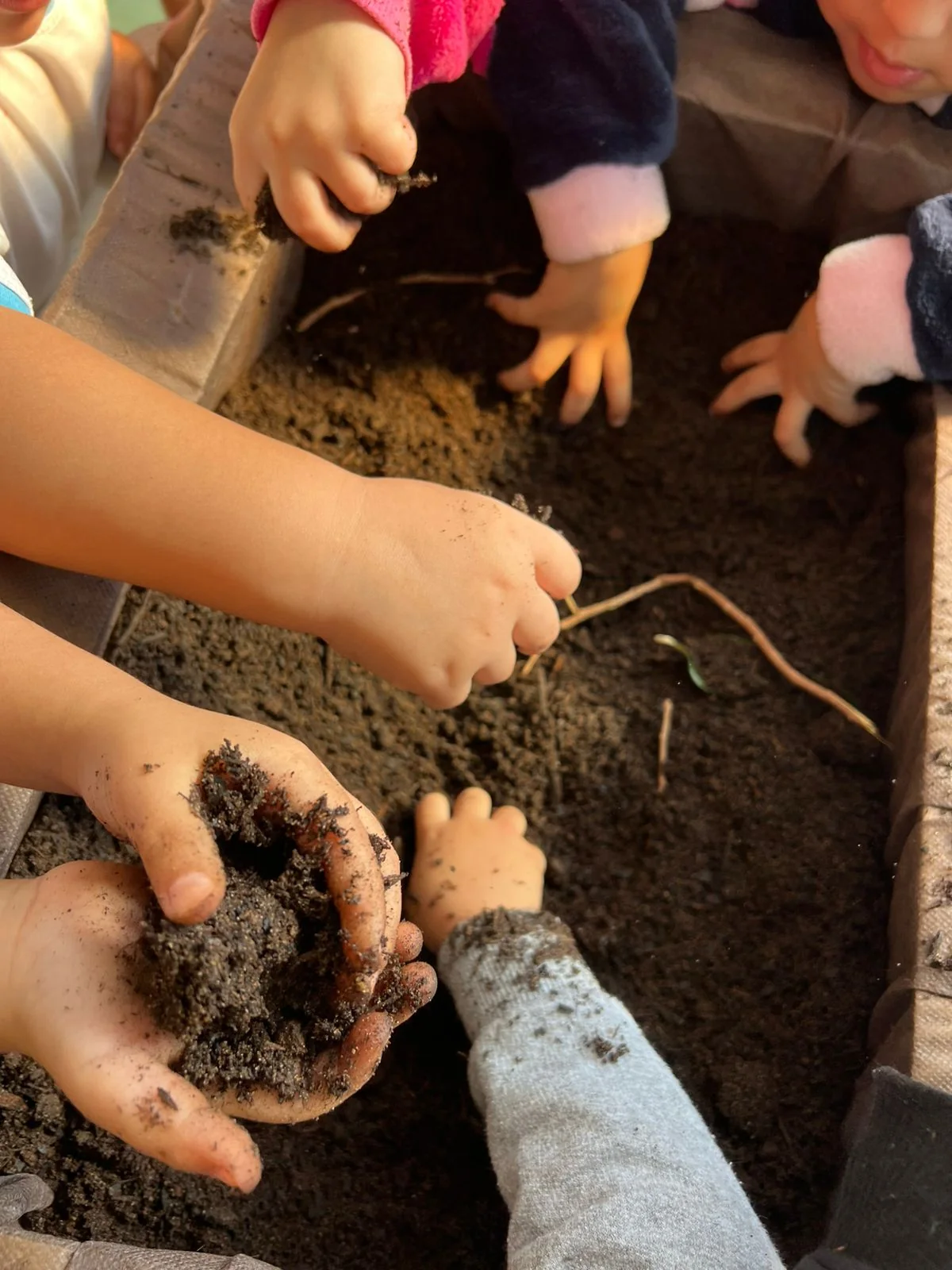 Mãos de crianças explorando a terra